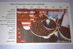 Types of insects eaten worldwide
